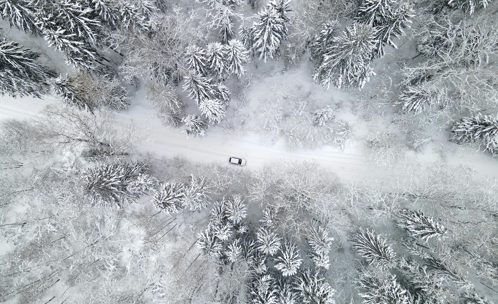 car stranded in the woods in winter